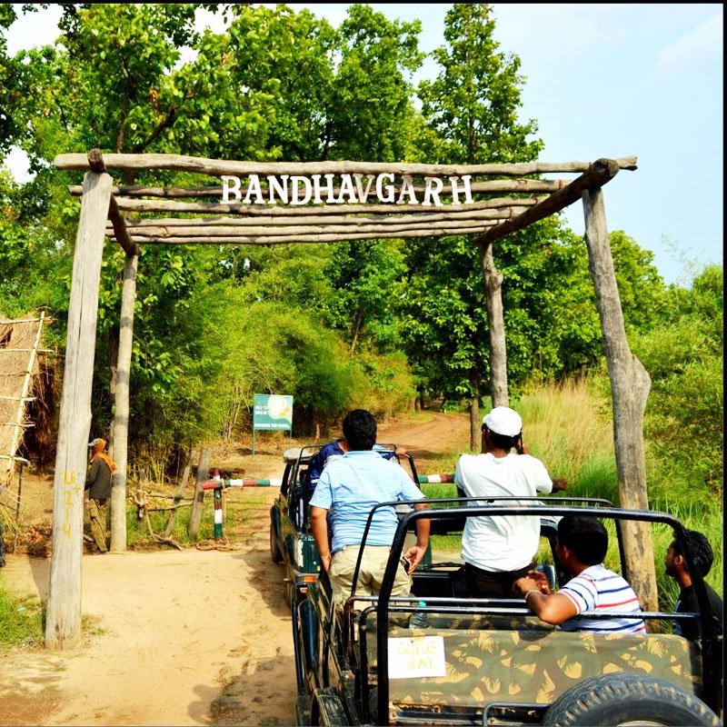 Bandhavgarh